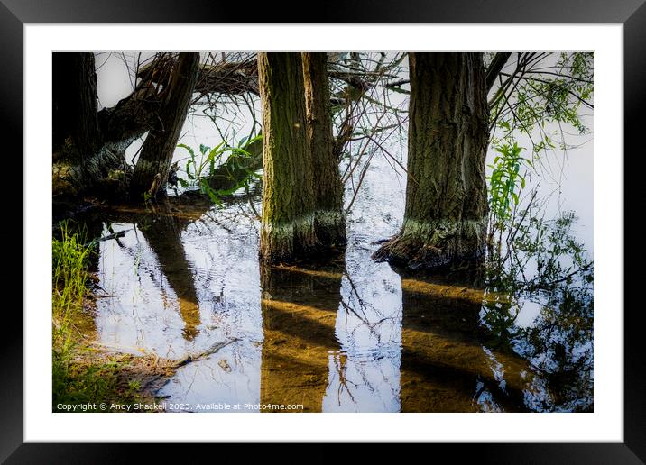 Trees in the lake Framed Mounted Print by Andy Shackell