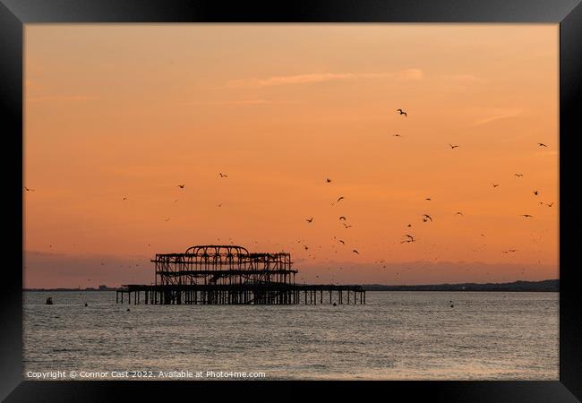 Brighton West Pier Sunset  Framed Print by Connor Cast