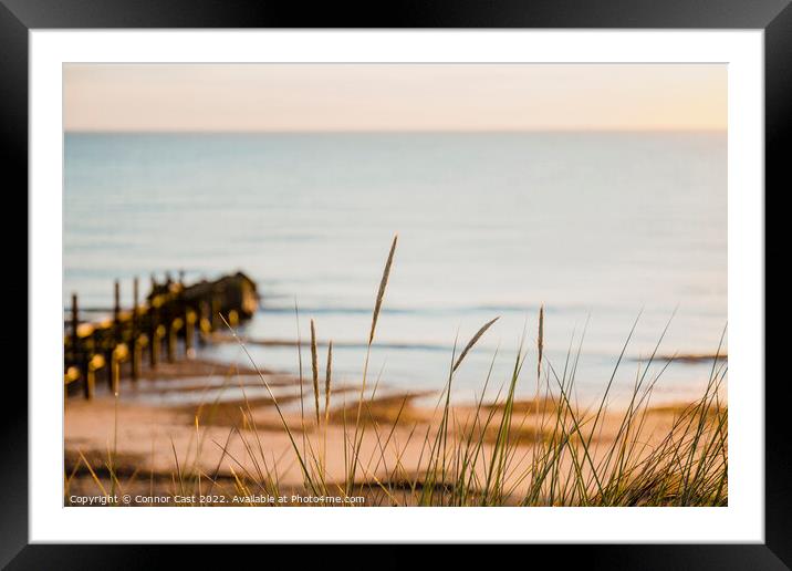 North Norfolk Coastal Grass Framed Mounted Print by Connor Cast