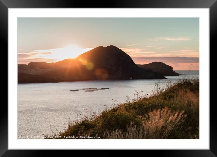 Madeira Sun Rays  Framed Mounted Print by Connor Cast
