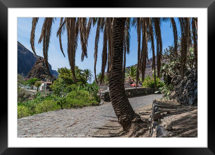 Palms trees ,Masca Tenerife  Framed Mounted Print by Hörður Vilhjálmsson