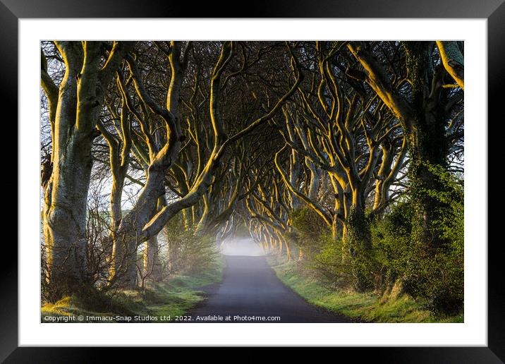 The Dark Hedges at Dawn Framed Mounted Print by Storyography Photography