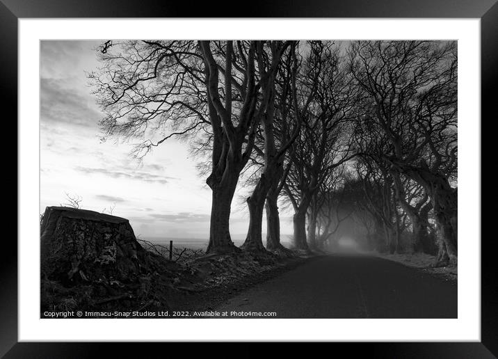 The Dark Hedges Framed Mounted Print by Storyography Photography