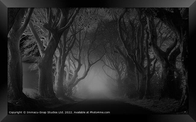 The Dark Hedges at Night Framed Print by Storyography Photography