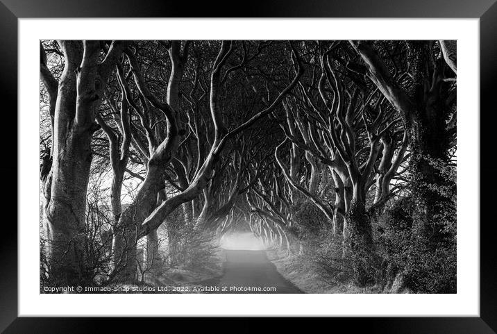 The Dark Road Framed Mounted Print by Storyography Photography