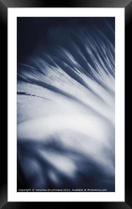 Abstract feather macro in blue Framed Mounted Print by Veronika Druzhnieva