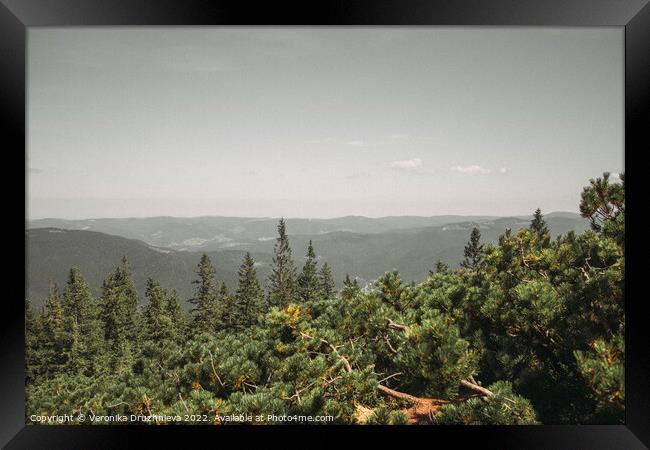 Outdoor Landscape from top of Mount Homyak, Carpathian, Ukraine Framed Print by Veronika Druzhnieva