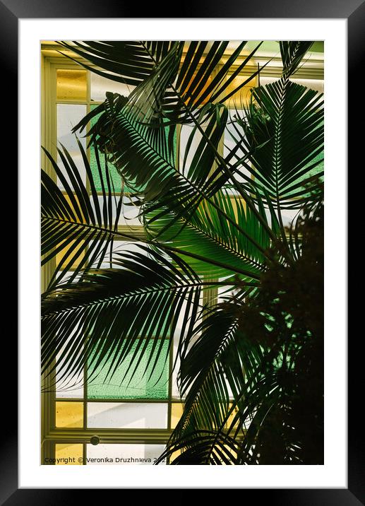 Palm inside the old building Framed Mounted Print by Veronika Druzhnieva