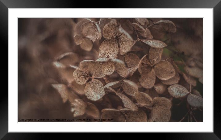 Abstract texture close up floral petals Framed Mounted Print by Veronika Druzhnieva