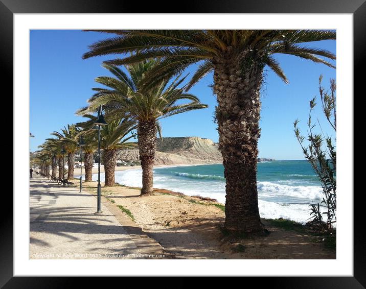 Palm tree walkway along Praia de Luz in Algarve Portugal Framed Mounted Print by Gary Wood