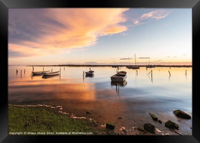 Moored at Sunset Framed Print by Shaun Sharp