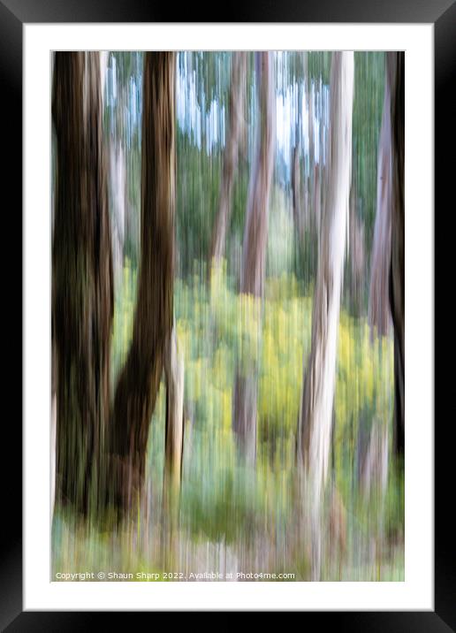 Impressionist View of Australia Framed Mounted Print by Shaun Sharp