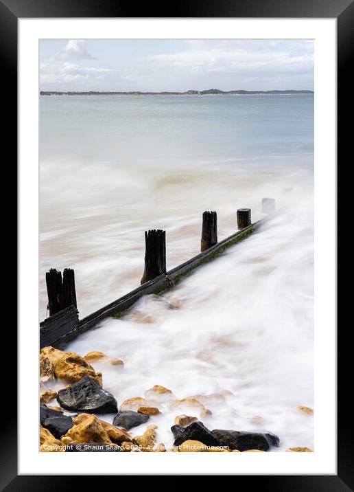 Golden Shore Framed Mounted Print by Shaun Sharp