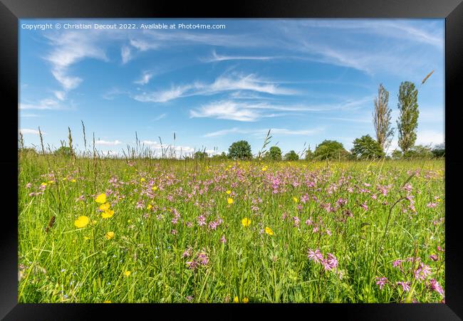 Natural meadow in the Alsace plain. Framed Print by Christian Decout
