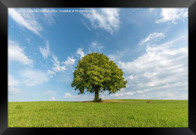 Lone tree on a hill in the French countryside Framed Print by Christian Decout