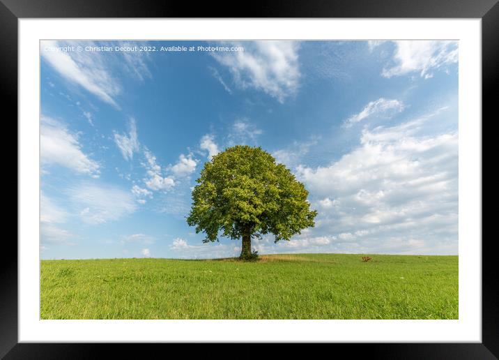 Lone tree on a hill in the French countryside Framed Mounted Print by Christian Decout