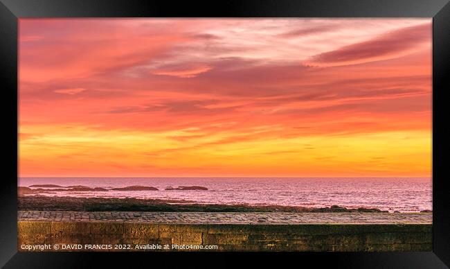 Golden Sunrise in Johnshaven Harbor Framed Print by DAVID FRANCIS