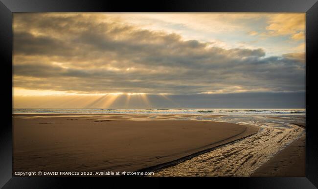 Radiant Sunrise on Montrose Bay Framed Print by DAVID FRANCIS