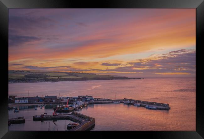 Majestic Sunrise in Stonehaven Framed Print by DAVID FRANCIS