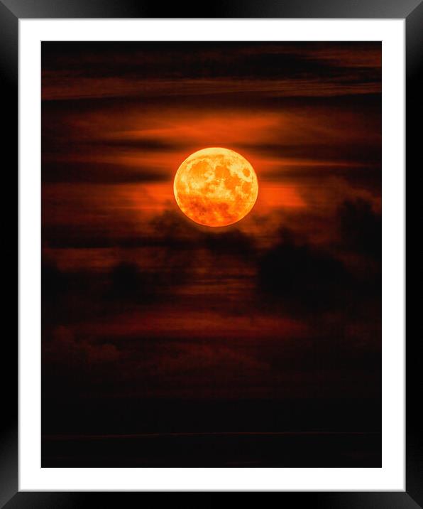 Golden Harvest Moon over Montrose Framed Mounted Print by DAVID FRANCIS
