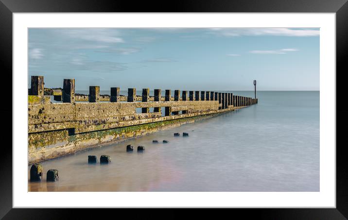 Weathered Groynes Guarding Scotlands Shore Framed Mounted Print by DAVID FRANCIS