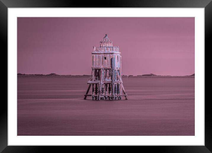 The Majestic Wooden Sentinel Framed Mounted Print by DAVID FRANCIS