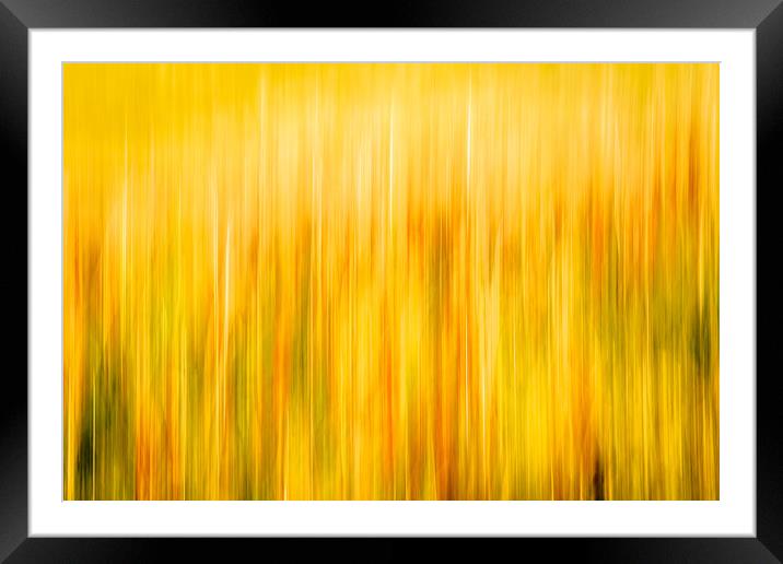 Golden Waves of Grass Framed Mounted Print by DAVID FRANCIS