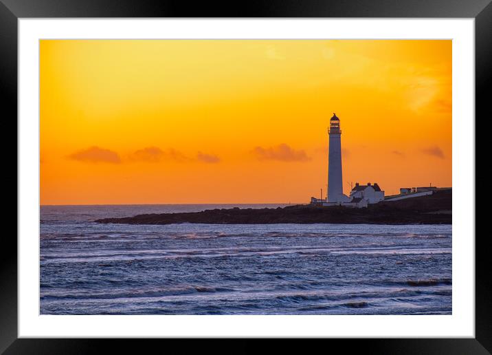 Golden Guardian of Montrose Framed Mounted Print by DAVID FRANCIS