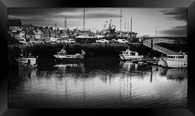 Fishing Boats in Arbroath Harbour Mono Framed Print by DAVID FRANCIS