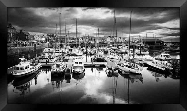 Yachts reflected in Arbroath Harbour Mono Framed Print by DAVID FRANCIS