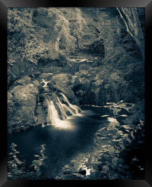 Peaceful Arbirlot Waterfall in Scotland Monochrome Framed Print by DAVID FRANCIS