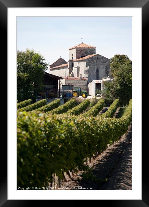 Grape vineyards, Cognac Charente-Maritime France Framed Mounted Print by Rose Sicily