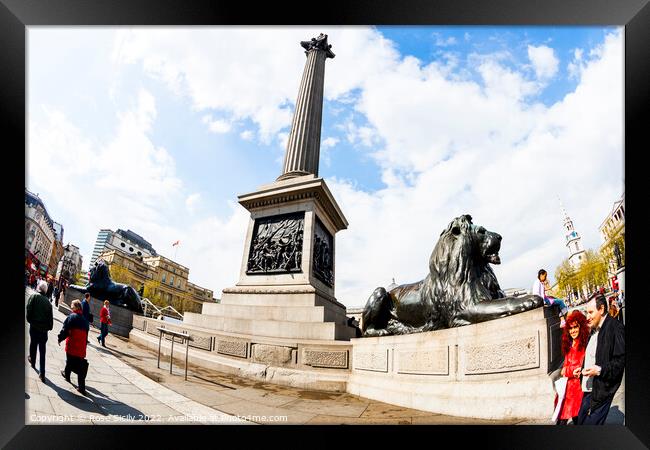Trafalgar Square showing Nelson's Column, Lions and fountains, in Charing Cross, London Framed Print by Rose Sicily