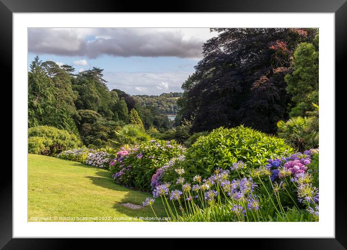 The sub-tropical Trebah Garden in Cornwall. Framed Mounted Print by Gordon Scammell