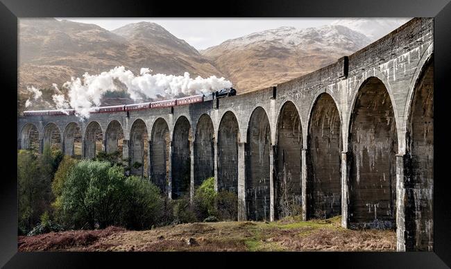 Steam Train in Scotland Framed Print by Elizabeth Hudson