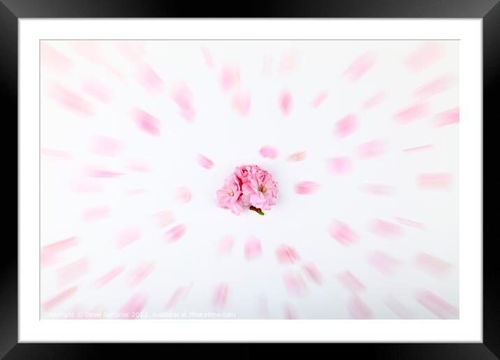 Abstract Tree Blossom Framed Mounted Print by Drew Gardner