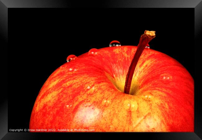 Ripe Red Apple Framed Print by Drew Gardner