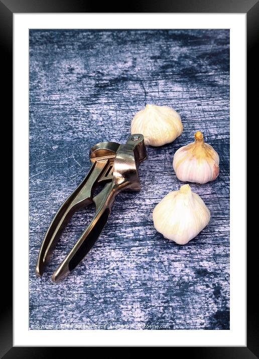 Garlic Framed Mounted Print by Drew Gardner