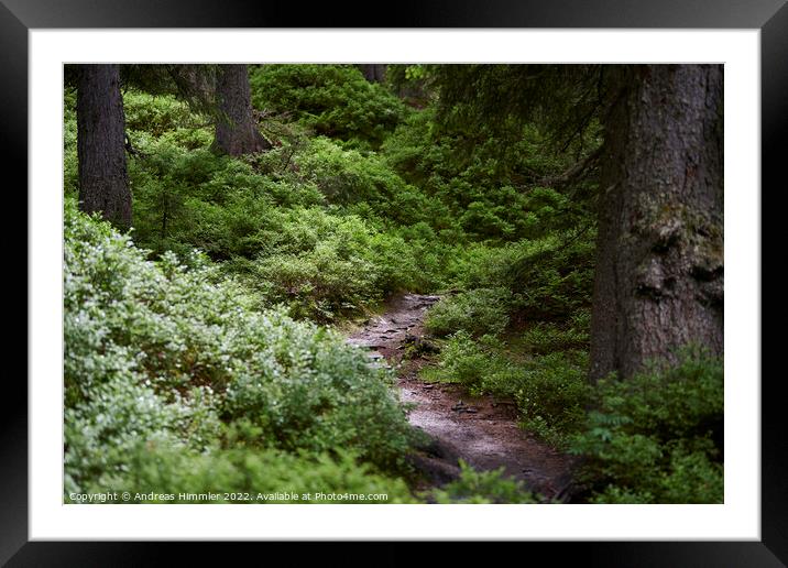 Narrow path through the Rauris Virgin Forest Framed Mounted Print by Andreas Himmler