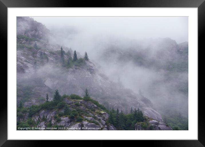 Pines on rounded cliffs in morning mist Framed Mounted Print by Andreas Himmler