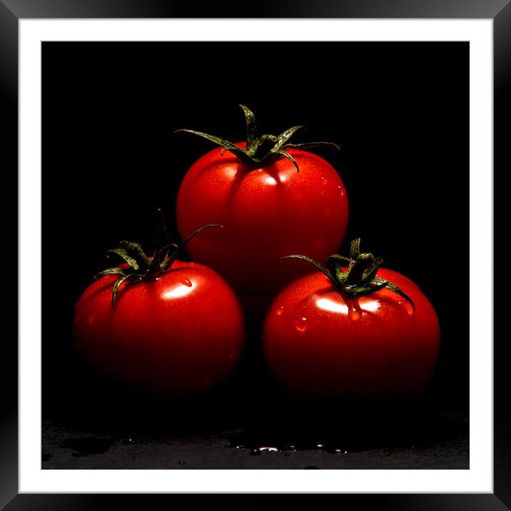  Tomatoes  Framed Mounted Print by Will Ireland Photography