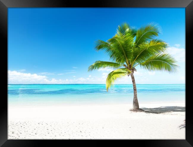 Outdoor ocean beach island beautiful view palm tropical Framed Print by ANASS SODKI