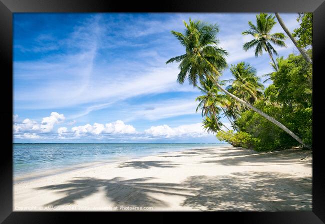 Outdoor ocean beach tropical island beautiful view summer Framed Print by ANASS SODKI