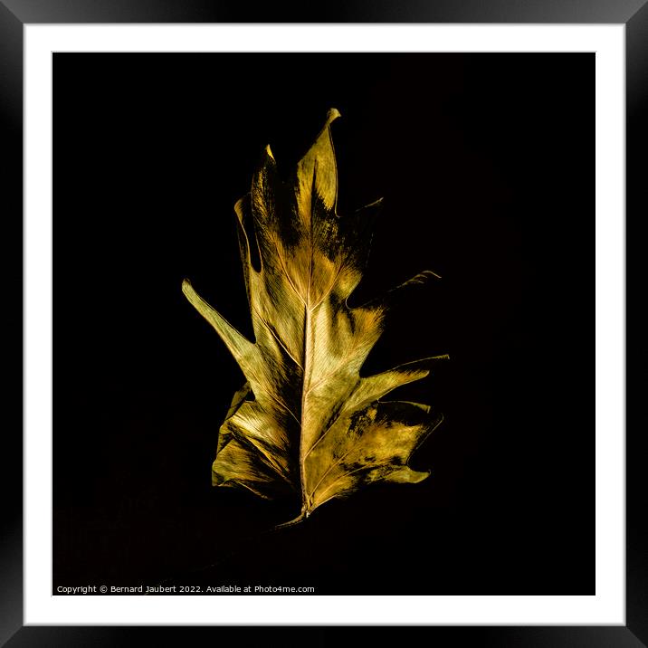 Dried autumn leaf  Framed Mounted Print by Bernard Jaubert