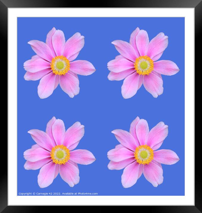 Blooms in Abstract: Digital Floral Artistry Framed Mounted Print by Carnegie 42