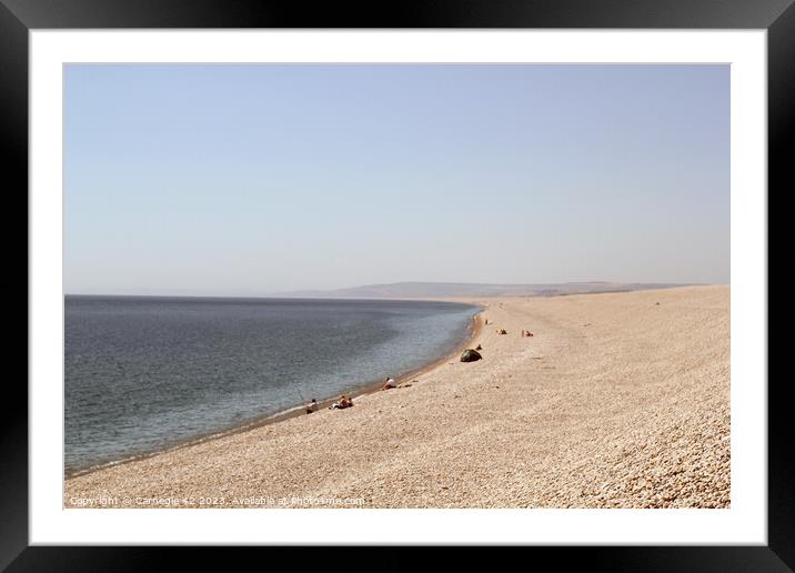 Cherished Chesil Beach Panorama Framed Mounted Print by Carnegie 42