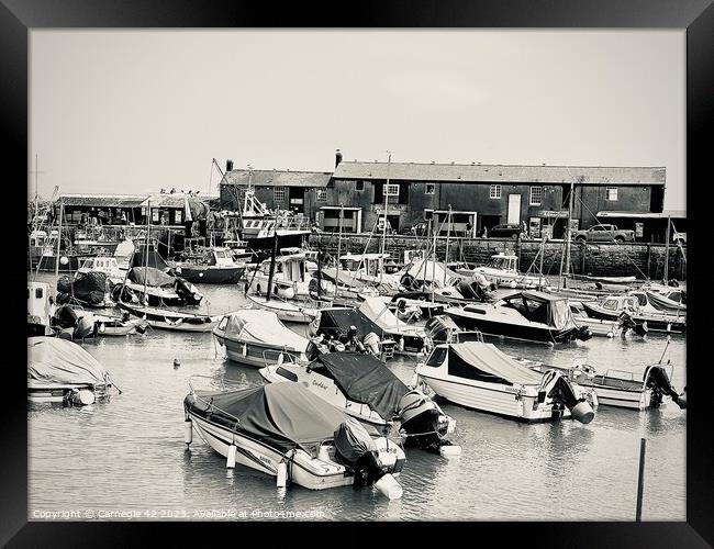 Tranquil Lyme Regis Harbour Panorama Framed Print by Carnegie 42