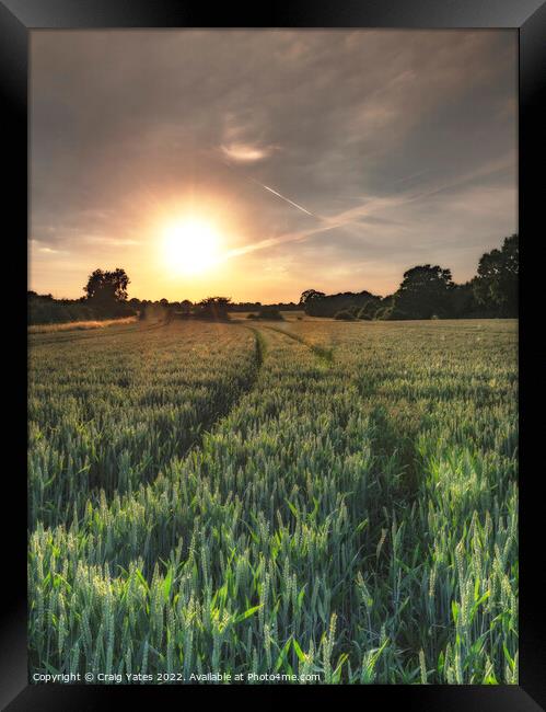 Field Of Wheat At Sunset Framed Print by Craig Yates