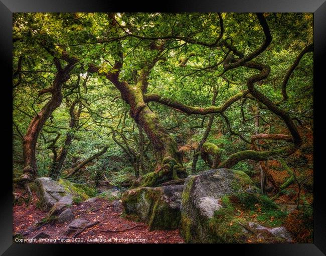 Padley Gorge Gnarly trees Framed Print by Craig Yates