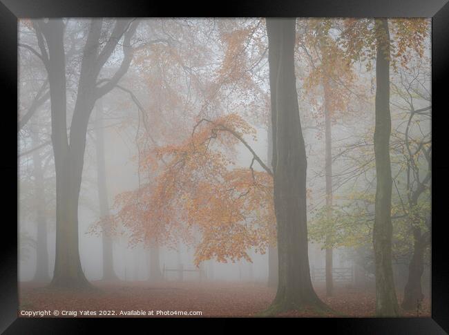 Misty Autumn Woodland Grindleford Peak District Framed Print by Craig Yates